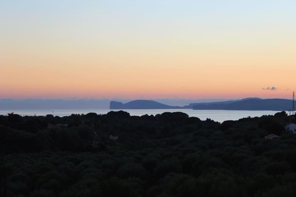 Villa Boeddu, Relax Tra Mare E Campagna Alguer Exterior foto